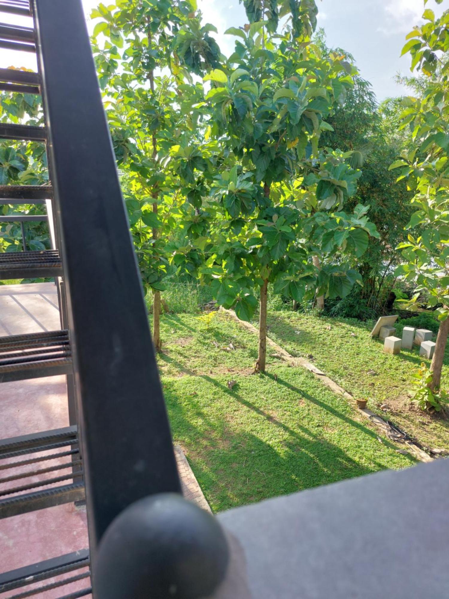 Green Shield Resort アヌラーダプラ エクステリア 写真