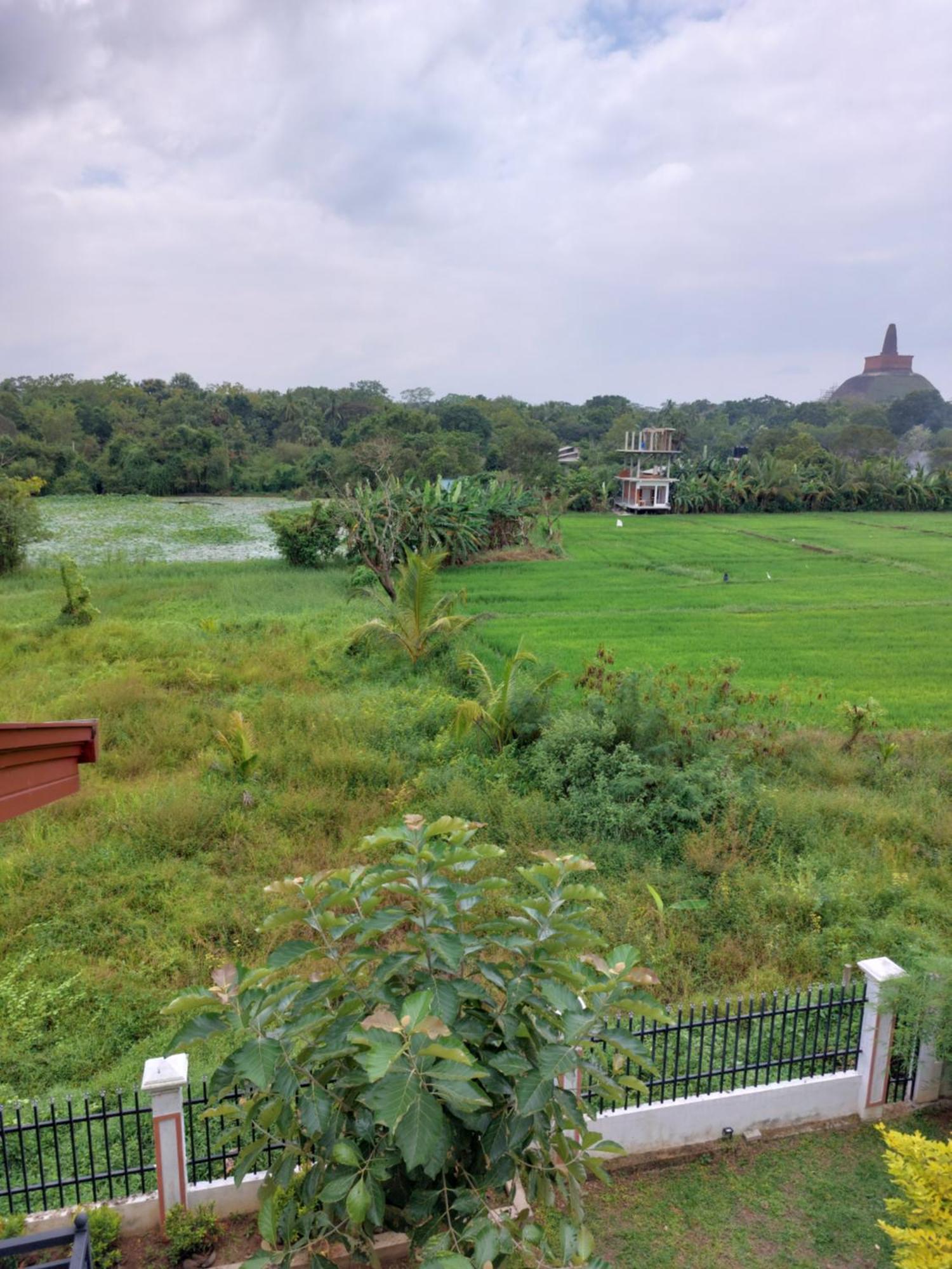 Green Shield Resort アヌラーダプラ エクステリア 写真